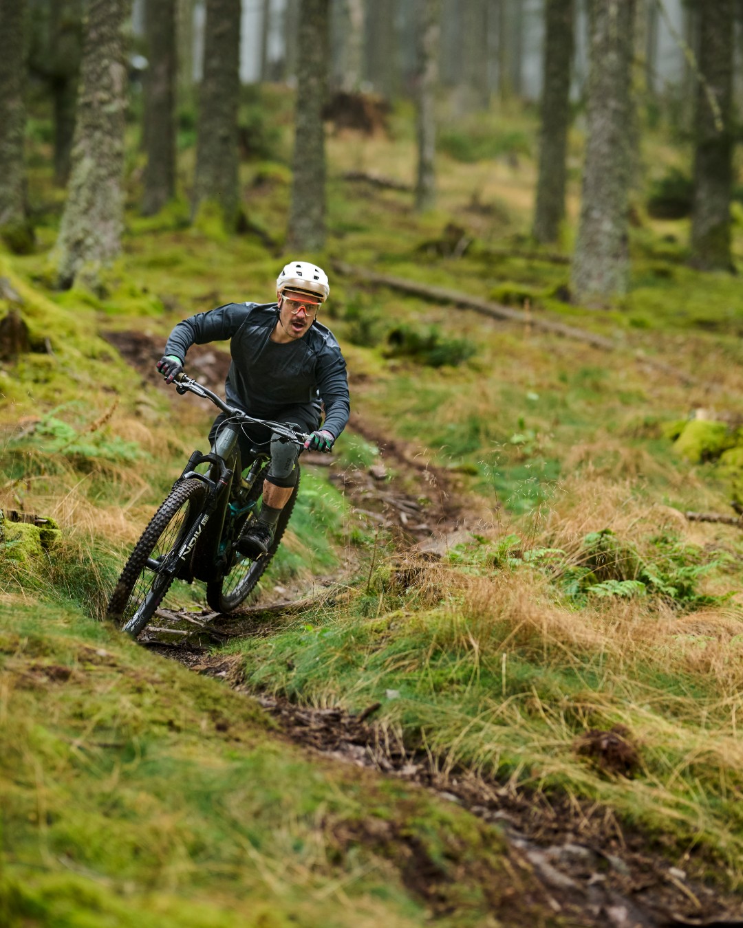 Katso Focus JAM² -mallisto