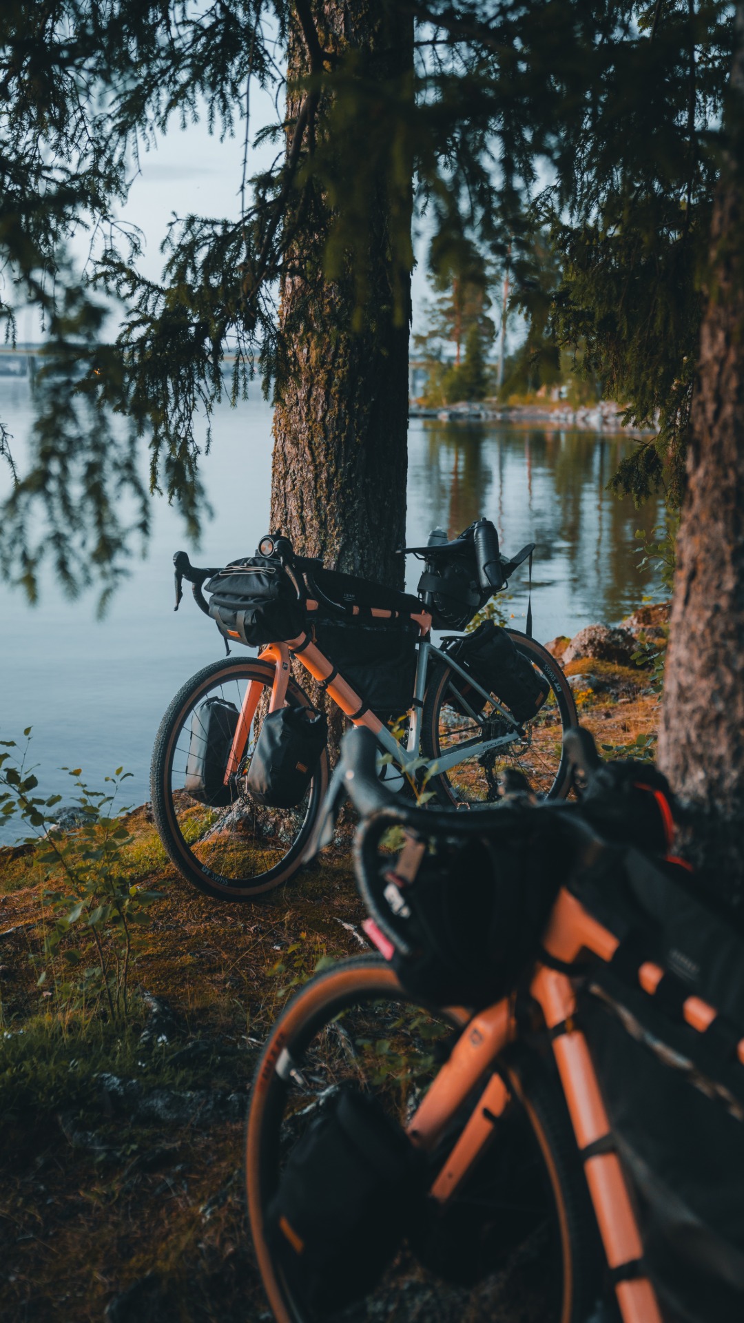 Kesän gravel-suosikki Focus Atlas 6.7 nyt varastossa – 1799€